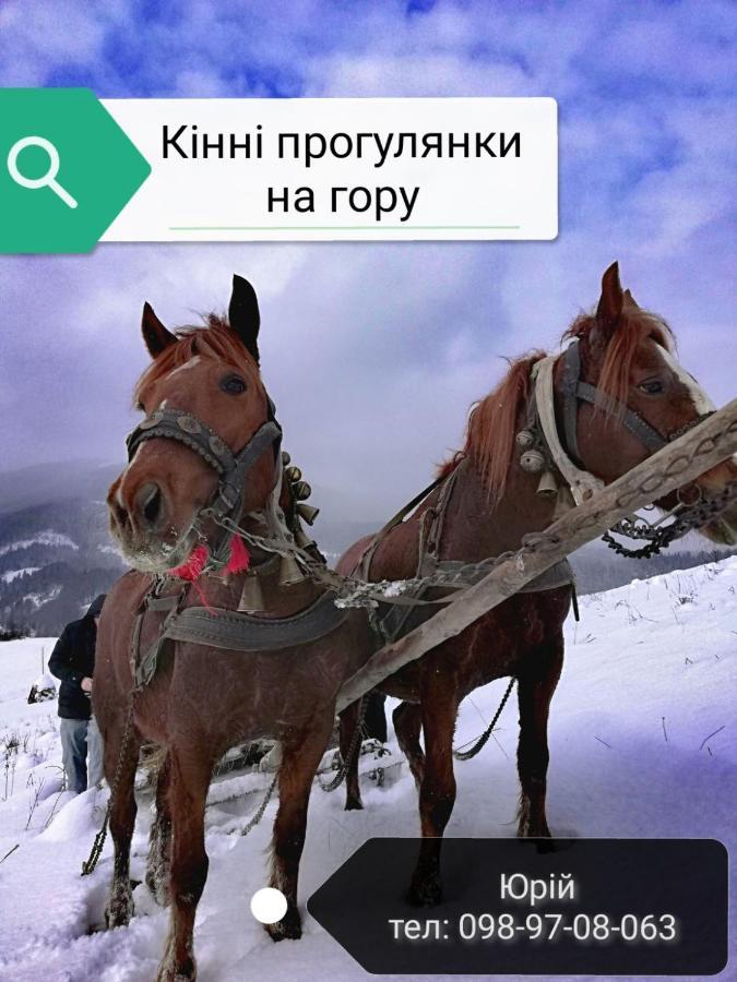 "Ізківський Затишок" Село Ізки 호텔 외부 사진